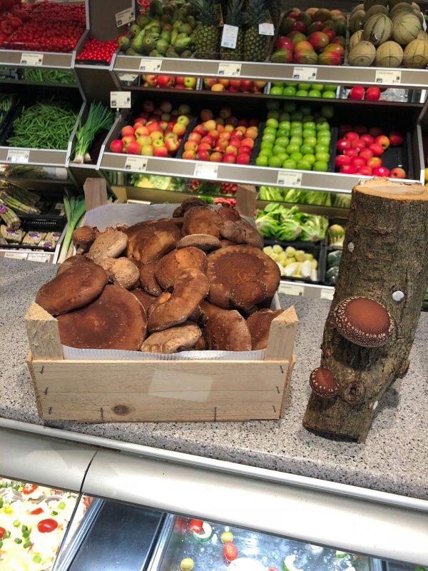 Verse Hout-Shiitake 1/2 kg - Afbeelding 3