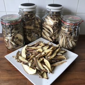 Hout-Shiitake gedroogd 50gr