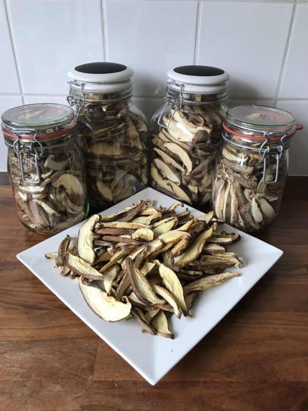 Hout-Shiitake gedroogd 50gr